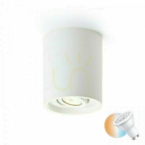 Skontrolujte Stropné svietidlo Coles smerujúce do sadry 230 V Gu10 15 Watt.