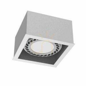 Stropné svietidlo Antigo Cage Out 1 biele 13,5 cm LED ES111 1272 small 0