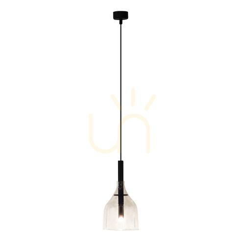 Skontrolujte Závesné svietidlo Antigo Botor 1 čierne sklo G9 150 mm 5095