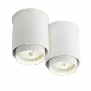 Stropné svietidlo Antigo Iga 2 biele GU10 95 mm 7015 small 0