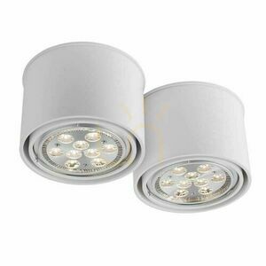Stropné svietidlo Antigo Miki 2 biele LED ES111 29 cm 7019 small 0