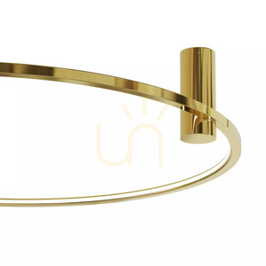 Plafón Ringa L 1xLED zlatý CL0112-L-GD small 4