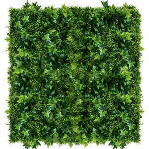 Zelená stena Hedera 50x50cm small 1