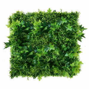 Zelená stena Hedera 50x50cm small 0