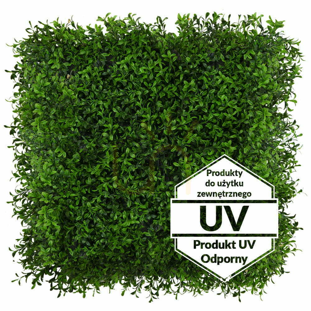 Konstgjord grön Buxus UV-matta 50x50cm