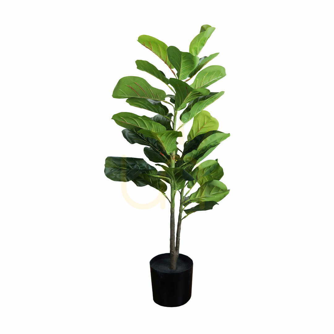 Dekoratívna rastlina Ficus 90cm