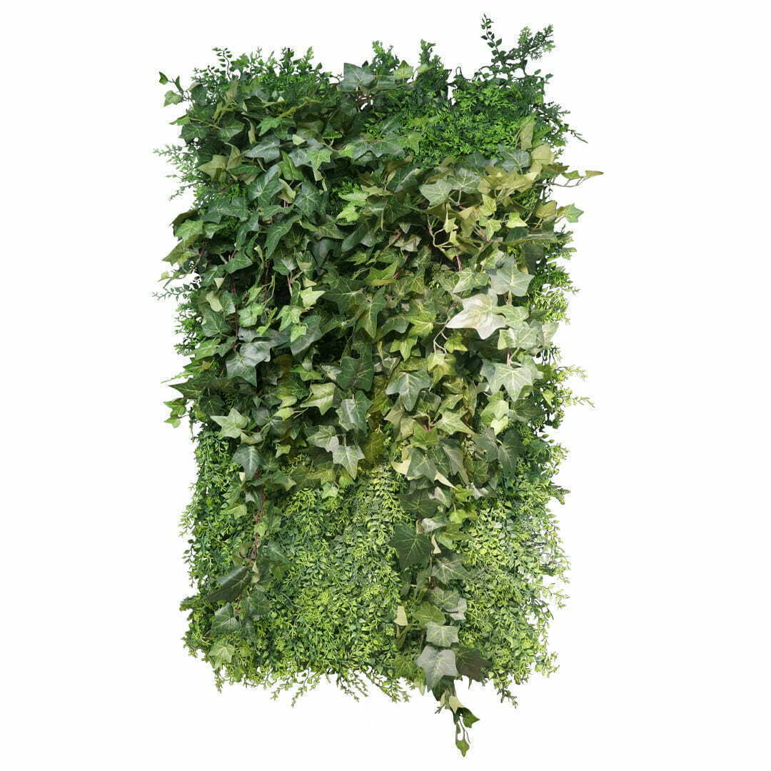 Vertikal trädgård Green Space