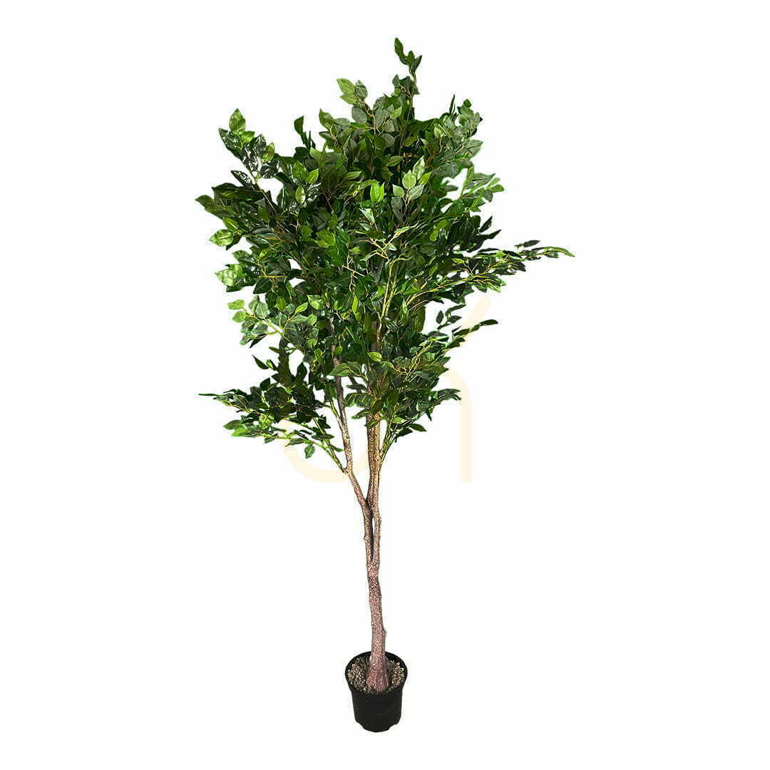 Skontrolujte Umelý fikus Benjamin Plant 180cm Umelý fikus Benjamin Plant 180cm