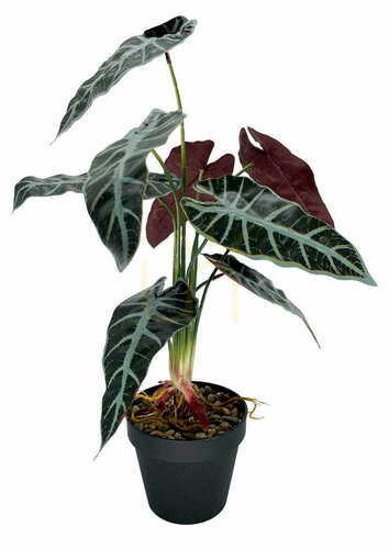 Skontrolujte Umelá rastlina Allocasia 47 cm