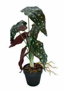 Umelá rastlina Begonia Coral 45 cm small 3