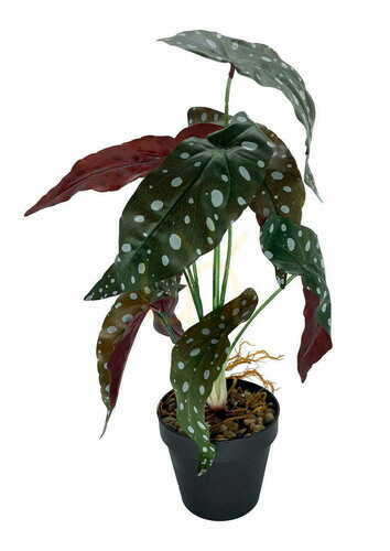 Skontrolujte Umelá rastlina Begonia Coral 45 cm