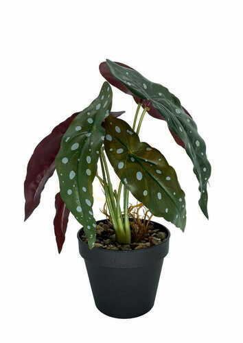 Skontrolujte Umelá rastlina Begonia Coral 36 cm
