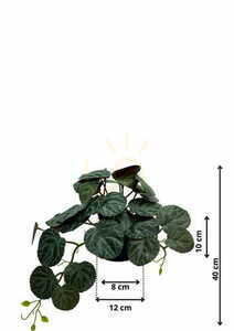 Umelá rastlina Pilea 40 cm small 1