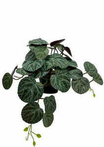 Umelá rastlina Pilea 40 cm small 3