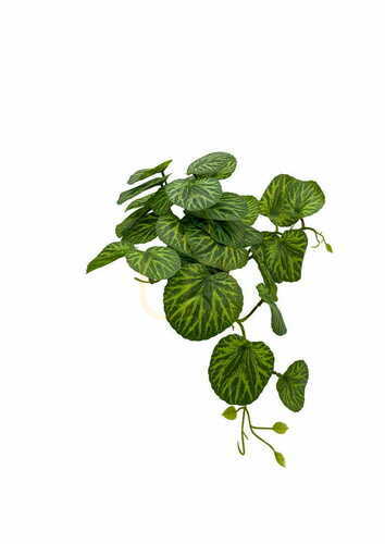 Skontrolujte Umelá rastlina Pilea 37 cm