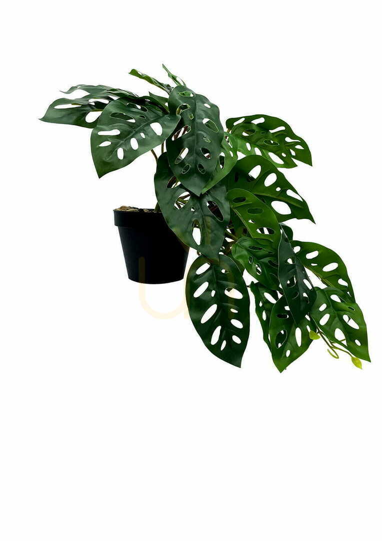 Displej Umelá rastlina Monstera Monkey 44 cm Umelá rastlina Monstera Monkey 44 cm