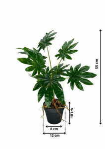 Umelá rastlina Aralia 55 cm small 1
