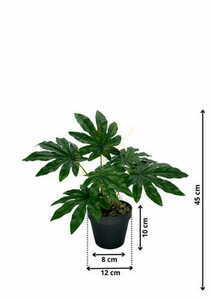 Umelá rastlina Aralia 45 cm small 1
