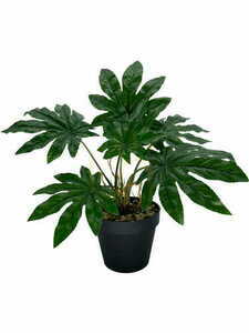 Umelá rastlina Aralia 45 cm small 2