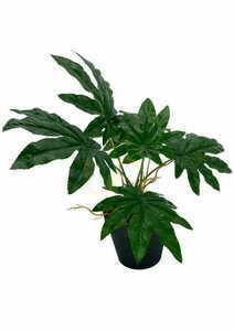 Umelá rastlina Aralia 45 cm small 3