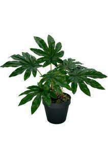 Umelá rastlina Aralia 45 cm small 0