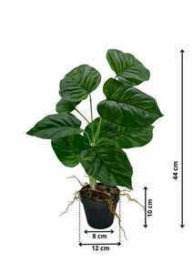 Umelá rastlina Maranta 44 cm small 1