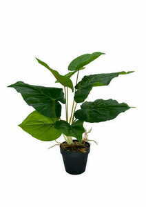 Umelá rastlina Scindapsus 48 cm small 3