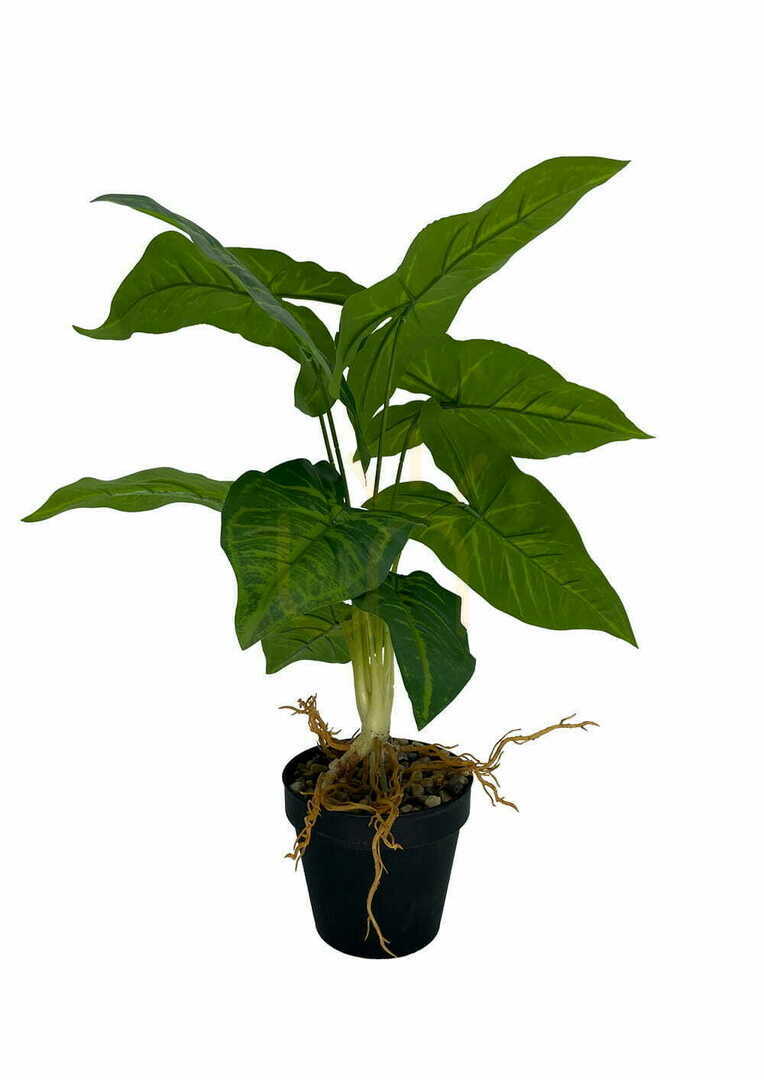 Mesterséges Syngonium növény 50 cm