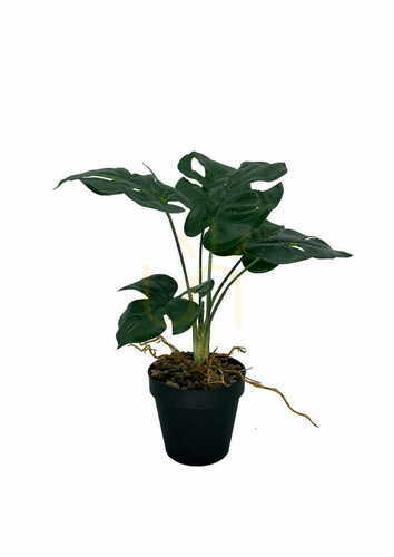 Skontrolujte Umelá rastlina Monstera 39 cm