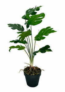 Umelá dutá rastlina Monstera 52 cm small 3