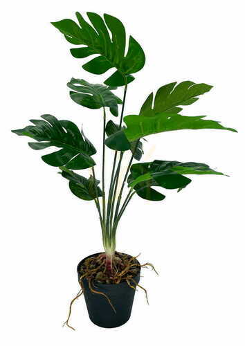 Skontrolujte Umelá dutá rastlina Monstera 52 cm