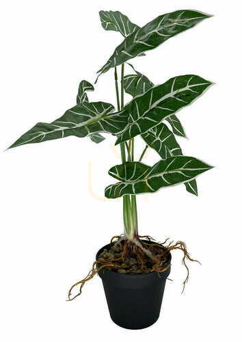 Skontrolujte Umelá rastlina Alokazia Amazonica 58 cm.