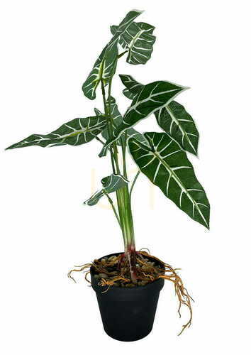 Skontrolujte Umelá rastlina Alokazia Amazonica 58 cm.
