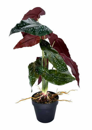 Skontrolujte Umelá rastlina Begonia Rosie 47 cm