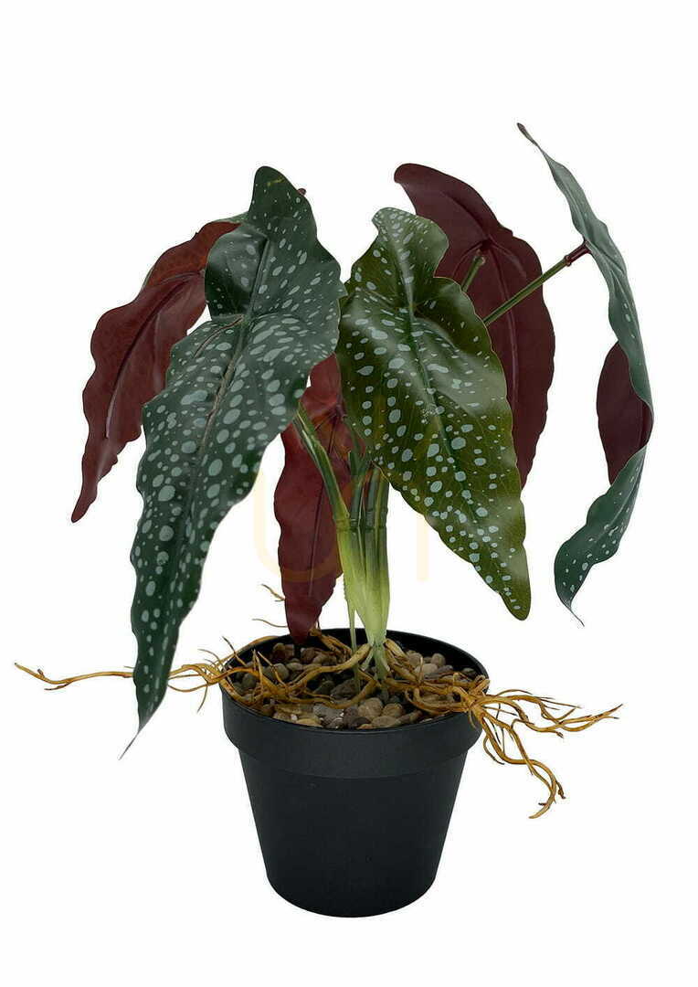 Künstliche Begonie Rosie Pflanze 35 cm