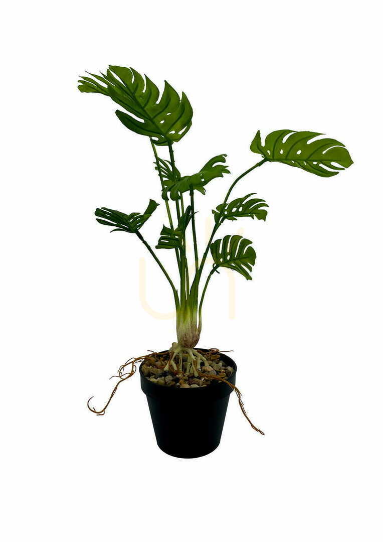 Náhľad Umelá rastlina Monstera 53 cm Umelá rastlina Monstera 53 cm