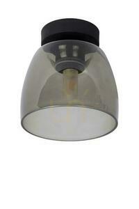 Plafón Lucide TYLER čierny sklenený retro IP44 33W G9 30164/01/30 small 1