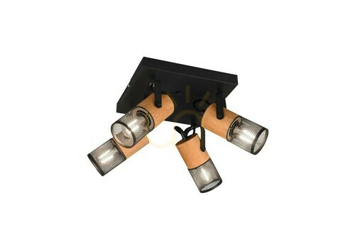 Skontrolujte Trio TOSH Plafond 804300432