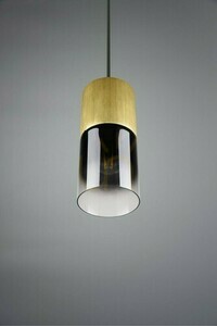 Trio ROBIN Závesné svietidlo 310600154 small 5