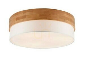 Trio SEASONS Plafón 611500301 small 0