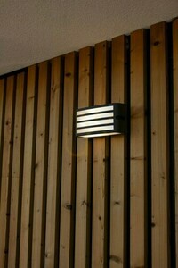 Vonkajšie nástenné svietidlo Lutec Zebra sivé hliníkové 25 W 5203501118 small 1