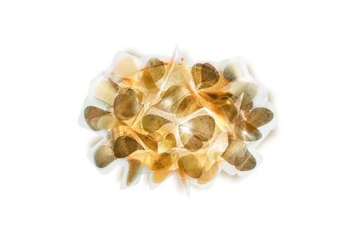 Skontrolujte Slamp Clizia Applique Mama Non Mama Gold nástenné svietidlo