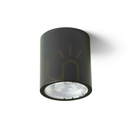 Skontrolujte Plafóny Vonkajší strop Cornelia 10 čierny 230 V Led 15 W Ip65 3000 K