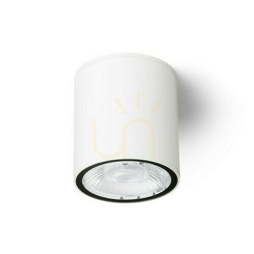 Skontrolujte Plafóny Vonkajšie Cornelia 10 Stropná biela 230 V Led 15 W Ip65 3000 K