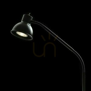 Čierna stolná lampa so svorkou Rendl HARMONY R14377, GU10 max. 8 W small 3