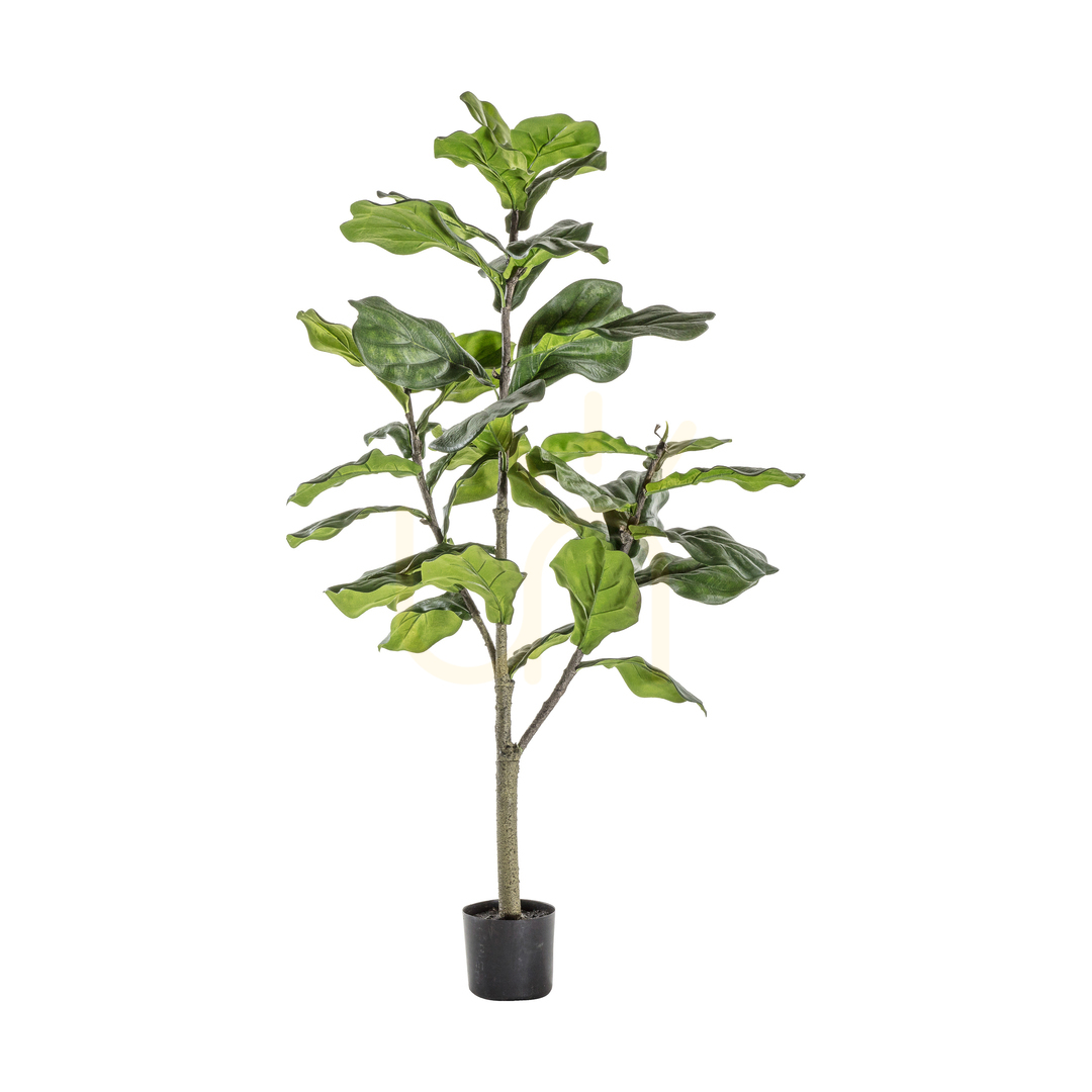 Skontrolujte Umelý strom Fiddle Leaf Gallery Direct zelený 120 cm 39 listov Umelý strom Fiddle Leaf Gallery Direct zelený 120 cm 39 listov