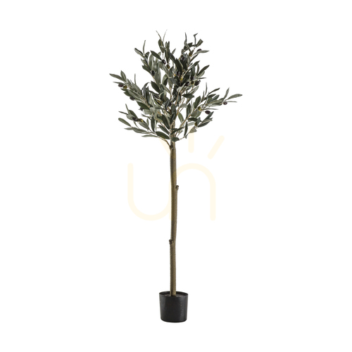Skontrolujte Umelý olivovník Gallery Direct zelený 121 cm