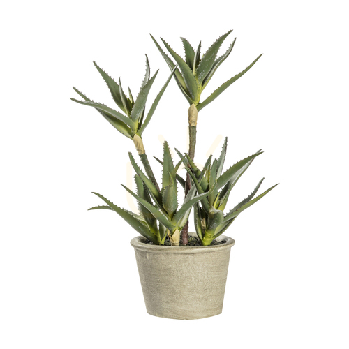 Skontrolujte Umelá aloe v kvetináči Gallery Direct zelená 38 cm