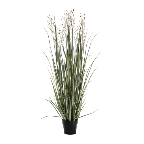 Skontrolujte Umelá tráva v kvetináči Gallery Direct zelená/russet 155 cm