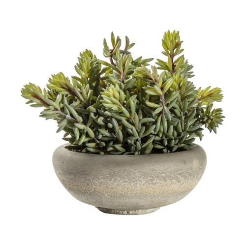 Skontrolujte Umelý sedum v cementovej miske zelený 23 cm Gallery Direct